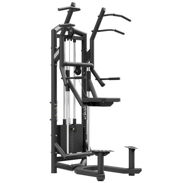 Máquina de dominadas y fondos asistidos UF-009 - UpForm